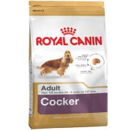 Cocker Royal Canin